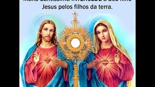 As 15 Orações de Santa Brígida Promessas preciosas e poderosas de Jesus impressas e recitadas [upl. by Noyar479]