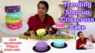 Whipped cream crisscross cake  step up most experimental cake  vlog30 [upl. by Esiuolyram227]