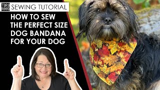 🧵 🐶 How to Sew the Perfect Sized Bandana for Your Dog  DIY Dog Bandana tutorial [upl. by Cirdla]