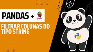 Pandas  pyladiessalvador Filtrar Colunas do Tipo String [upl. by Otanutrof646]