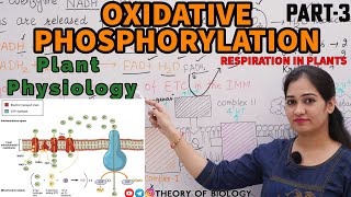 Oxidative phosphorylationrespiration Plant physiology Neet2025 HTET PGT BIOLOGYDSSSBKVSCUET [upl. by Doownel]