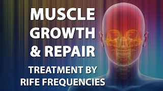 Muscle Growth amp Repair  RIFE Frequencies Treatment  Energy amp Quantum Medicine with Bioresonance [upl. by Peltier]