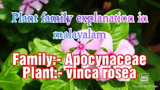 Family Apocynaceae details in Malayalam [upl. by Allenaj279]