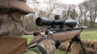 The Airgun Show  rabbit hunting and the iconic Weihrauch HW77 [upl. by Ambert]