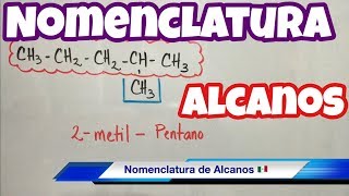 Nomenclatura de ALCANOS muchos ejemplos paso a paso [upl. by Nitsoj]