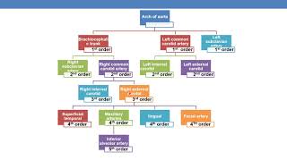 CPT CODING GUIDELINES FOR RADIOLOGY TRANSCATHETRAL amp OTHER PROCEDURES [upl. by Ecirtemed]