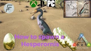 Ark Survival Evolved How to spawn a Hesperornis [upl. by Nrubliw]