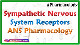 Sympathetic Nervous System Receptors  ANS Pharmacology  DrRajesh Gubba [upl. by Zohara]