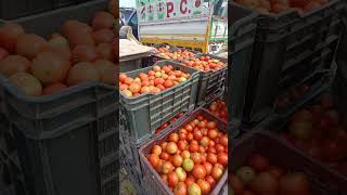 Tomato market besimarishortvideoviralyoutubevideotrendingshorts minivlogshortsRaha official [upl. by Eihcra]