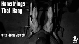 The Animal Underground John Jewett Ham Glute and Calf Workout [upl. by Ahsekram]