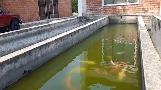 quotInside NARCs Aquaculture Fish Hatchery – Discover the Secrets of Successful Fish Farmingquot [upl. by Ahsitauq]