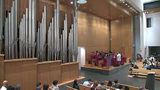 ASH Wednesday Solemn Mass 14 February 2024 St Patricks Cathedral Parramatta [upl. by Dunkin]