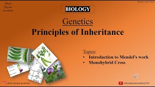 Monohybrid Cross  Principles of Inheritance  genetics  biology  Class 12th [upl. by Eilema]