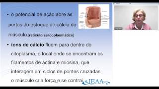 Especialização em Motricidade Orofacial 2013 Aula 01 20130319 2251 2 [upl. by Sabra]