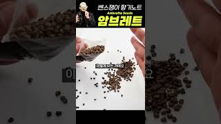 씨앗에서 머스크 향기가 납니다 1분 향기 노트  암브레트 씨드 Ambrette Seeds [upl. by Riannon565]