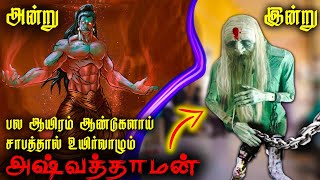 மக்கள் அதிர்ச்சி  12 அடி உயரத்தில் இன்றும் மறைந்து வாழும் அஸ்வத்தாமன்  aswathaman mystery Tamil [upl. by Hizar302]