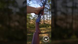 Разборная мелкашка Браунинг Тромбон охота hunter оружие hunting gun shotgun guns hunt [upl. by Friedlander441]