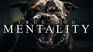 TRUE DOG MENTALITY  Best Motivational Video Speeches Compilation [upl. by Adrien]