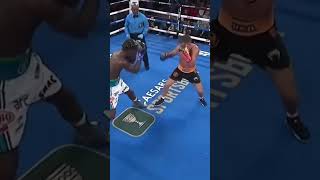 When a Boxer Refused to Knock Out His Opponent boxing lomachenko [upl. by Kassaraba]