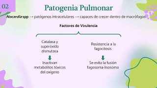 Afectación pulmonar por Nocardia a propósito de un caso [upl. by Haukom627]