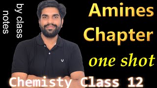 Amine Complete Chapter in One shot by Class notes  Class 12 [upl. by Jeraldine]