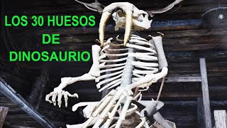 🦴 Como encontrar TODOS los huesos de dinosaurio en Red dead redemption 2  prueba de fe RDR 2 [upl. by Hardner47]