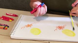 Beeswax VS Parafin Crayola Crayons [upl. by Alansen]