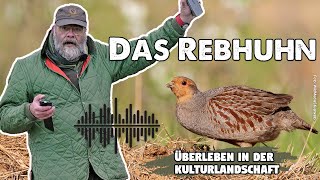 Das Rebhuhn  Überleben in der Kulturlandschaft  jagdtalk  Der Jagd Podcast von Markus Stifter [upl. by Akkahs22]