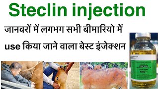 Steclin injection uses in hindioxytetracycline hcl injection uses in hindioxy veterinary injection [upl. by Anneirda]