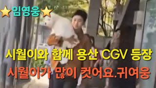 임영웅 시월이와 함께 용산 CGV 등장시월이가 건강하게 잘 크고 있네요건강하게 잘 자라웅👍🤩🩵 임영웅시월이용산CGV시월이등장 [upl. by Gearhart]