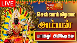 🔴LIVE செவ்வாய்க்கிழமை அம்மன் அபிஷேக பாருங்க  Amman Abhishekam shorts amman abhishekam அம்மன் [upl. by Oecile]