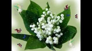 1ER MAI MUGUET cartes virtuelles [upl. by Kermie696]