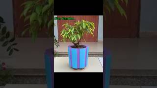 Cement Pot short cement cementlifehacks [upl. by Lirret]