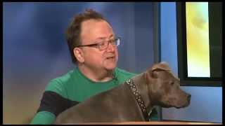 Ken Foster on Pit Bull Misconceptions [upl. by Avril]