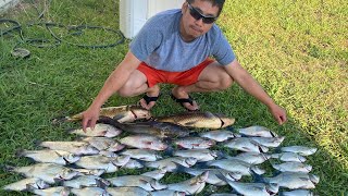 24hr Lake Nacimiento white bass fishing nonstop action nuv ntses [upl. by Manno]