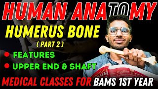 Humerus Bone  Part 2  Anatomy of Upper end amp Shaft  BAMS 1st Year bams anatomy bams1styear [upl. by Eirotal151]