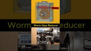 Worm Gear Reducer mechanic gearbox 3ddesign solidworks 3d [upl. by Aynatahs]