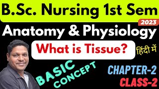 What is Tissue in hindi  Anatomy amp Physiology  BSc Nursing 1st Sem [upl. by Sanoy]