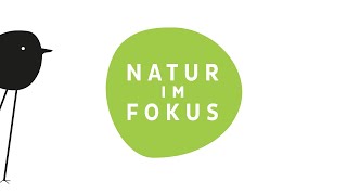 Natur im Fokus Gewinnerfilm des Wettbewerbs 2023 [upl. by Efrem663]