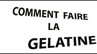 TUTTO COMMENT FAIRE LA GELATINE FAIT MAISON [upl. by Lapo]