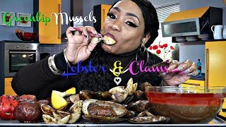 Green lip Mussels Clams lobster and potatoes 2 [upl. by Ocihc]