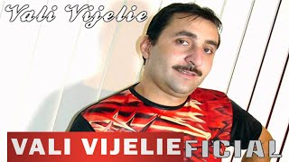 VALI VIJELIE  Te iubesc te iubesc OFICIAL AUDIO TRACK [upl. by Kendricks928]