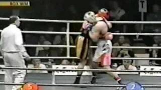 Vladimir Klitschko vs Luan Krasniqi [upl. by Eimoan]