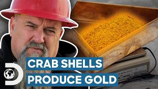 Crab Shells Help Hoffmans Find Big Gold Haul  Hoffman Family Gold [upl. by Latoyia199]