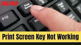 How to Fix Print Screen Not Working in Windows 10  Unable To Take Screenshot  Learning Hub [upl. by Frederique]