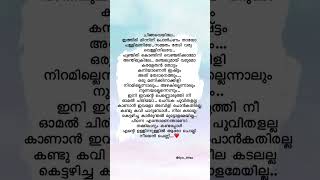 Omal chiriyo❤️ omalchiriyo trending songs omalchiriyolyrics trendingsongs love lovesongs [upl. by Atsyrk]