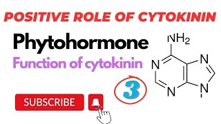 Positive role Of Cytokinin in Plants phytohormones urdu hindi by Mushtaq Saqib  Part3 [upl. by Iffar756]