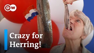 Why the Dutch LOVE herring  The Netherlands’ Best Street Food [upl. by Porche225]