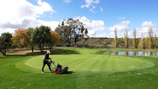 My 10 Week Old Putting Green Looks Pure  10mm Ryegrass Collar Mow [upl. by Akoyin551]