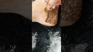 Latest mehndi designs trending viralvideo shortvideo shortviral youtubeshorts youtube mehndi [upl. by Oicnerual518]